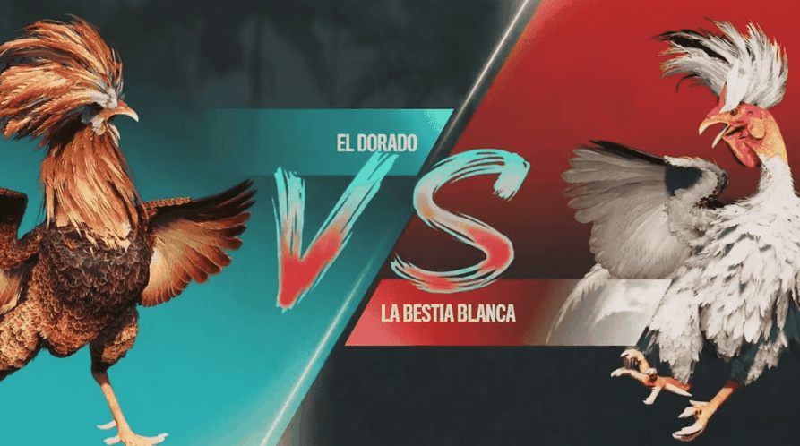 777rr Login no App de Jogos